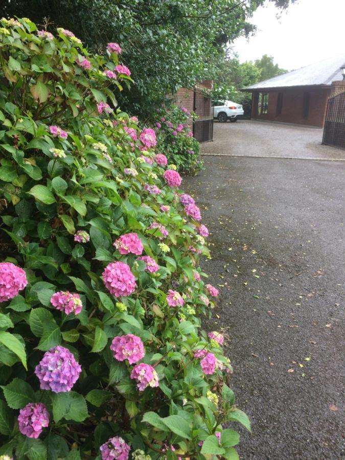 Lios Daire Woodford (Kerry) Exterior foto